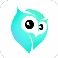 Pikko Video Chat Live Talk app download for android  1.2.6