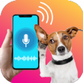 Human to Dog Translator Online Free Mod Apk Download  1.1.7